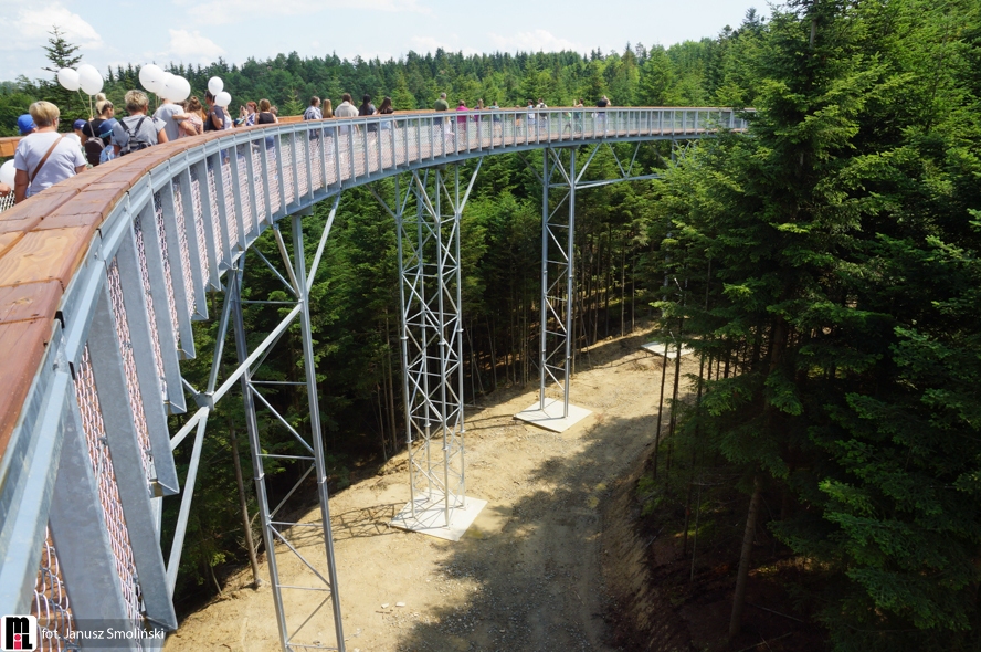 sciezka-w-koronaach-drzew-25