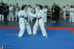 karate-i-kobudo-09879