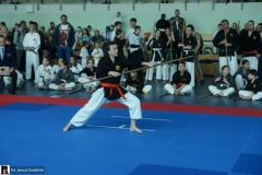 karate-i-kobudo-09889