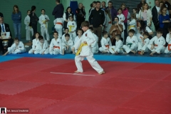 karate-i-kobudo-09894