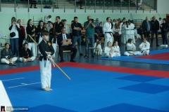 karate-i-kobudo-09895