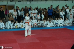 karate-i-kobudo-09896