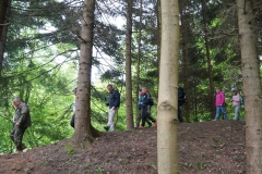 Audioprzewodnik-Las-na-wyciagniecie-reki-10