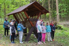 Audioprzewodnik-Las-na-wyciagniecie-reki-12