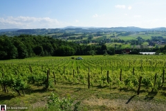 W-winnicy-panstwa-Kaminskich-01044