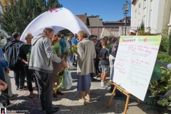 Dzien-Miejskiego-Ogrodnika-02556