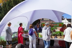 Dzien-Miejskiego-Ogrodnika-02567