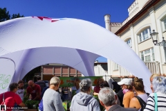 Dzien-Miejskiego-Ogrodnika-02569