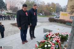 Prezydent-Tarnowa-pierwszy-raz-pod-Witosem-na-Swieto-Niepodleglosci-04546
