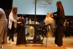 festiwal-fryzjerski-146