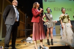 festiwal-fryzjerski-373