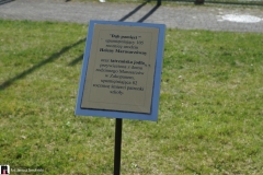 akcja-klimatyczna-Pogorska-Wola-52