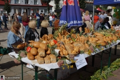 Diecezjalne-Swieto-Chleba-Brzesko-220-of-598