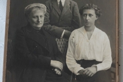 hrabiostwo Zamojscy