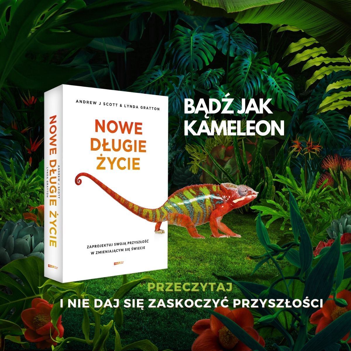 Nowe długie życie grafiki FB 2 - 1