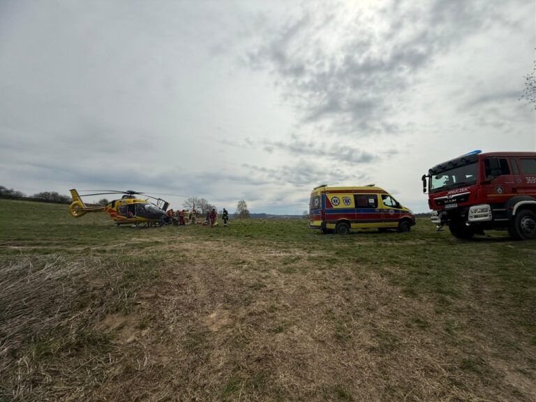 Wypadek podczas wycinki drzewa w Bogoniowicach. 60-latek trafił do szpitala śmigłowcem LPR